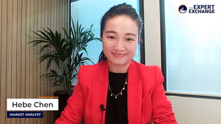 The Market Online Video