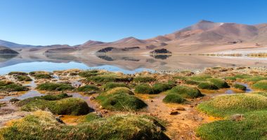 Atacama Desert in Chile