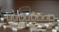 Demerger concept